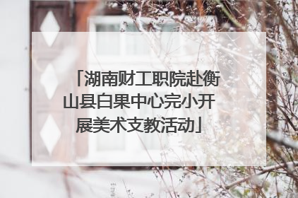 湖南财工职院赴衡山县白果中心完小开展美术支教活动