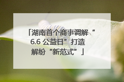 湖南首个商事调解“6.6 公益日”打造解纷“新范式”