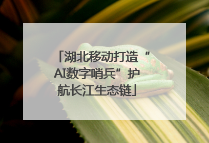湖北移动打造“AI数字哨兵”护航长江生态链