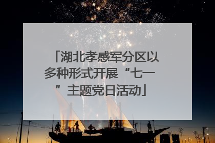 湖北孝感军分区以多种形式开展“七一”主题党日活动