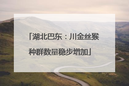 湖北巴东：川金丝猴种群数量稳步增加