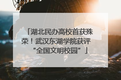 湖北民办高校首获殊荣！武汉东湖学院获评“全国文明校园”