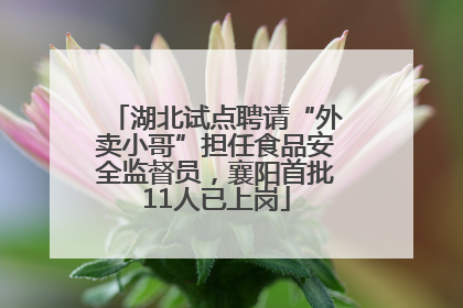 湖北试点聘请“外卖小哥”担任食品安全监督员，襄阳首批11人已上岗