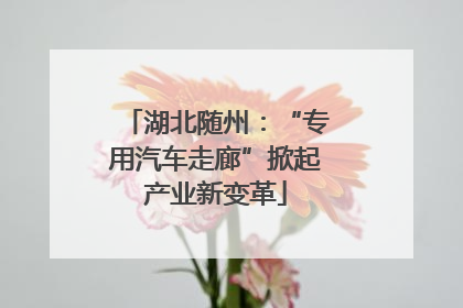 湖北随州：“专用汽车走廊”掀起产业新变革
