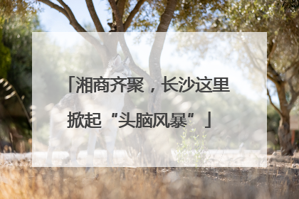 湘商齐聚，长沙这里掀起“头脑风暴”
