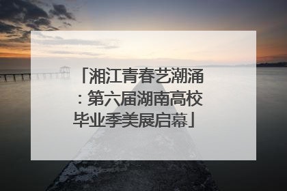 湘江青春艺潮涌：第六届湖南高校毕业季美展启幕