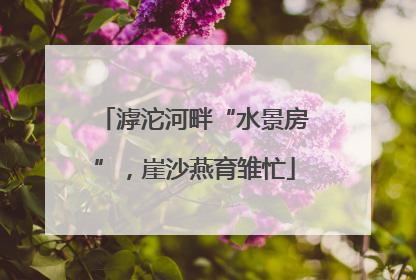 滹沱河畔“水景房”，崖沙燕育雏忙