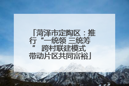 菏泽市定陶区：推行“一统领 三统筹” 跨村联建模式 带动片区共同富裕