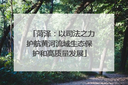 菏泽：以司法之力护航黄河流域生态保护和高质量发展