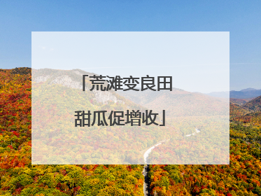 荒滩变良田 甜瓜促增收