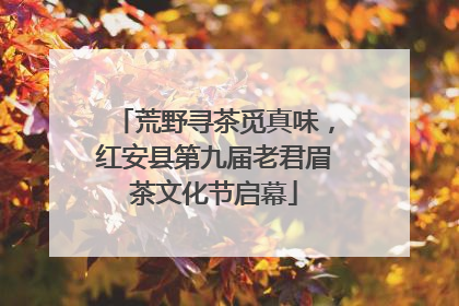 荒野寻茶觅真味，红安县第九届老君眉茶文化节启幕
