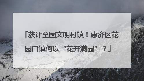 获评全国文明村镇！惠济区花园口镇何以“花开满园”？