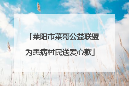 莱阳市菜哥公益联盟为患病村民送爱心款