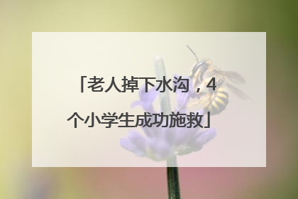 老人掉下水沟，4个小学生成功施救