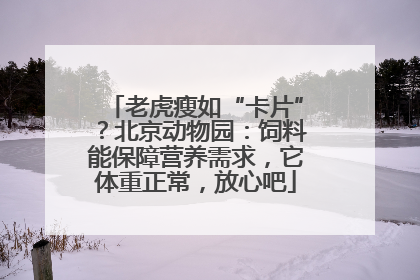 老虎瘦如“卡片”？北京动物园：饲料能保障营养需求，它体重正常，放心吧