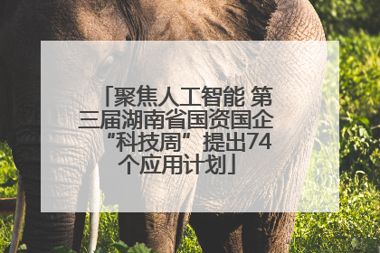 聚焦人工智能 第三届湖南省国资国企“科技周”提出74个应用计划