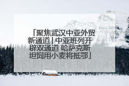 聚焦武汉中亚外贸新通道│中亚班列开辟双通道 哈萨克斯坦饲用小麦将抵鄂