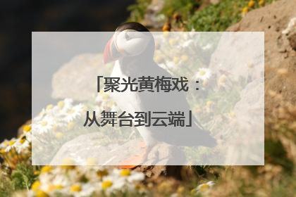 聚光黄梅戏：从舞台到云端