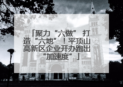 聚力“六做” 打造“六地”！平顶山高新区企业开办跑出“加速度”