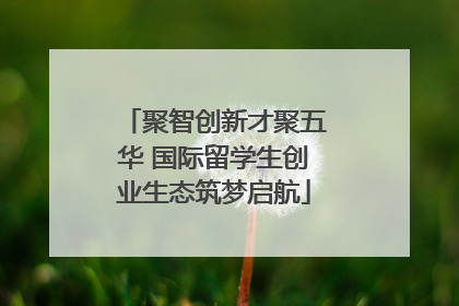聚智创新才聚五华 国际留学生创业生态筑梦启航