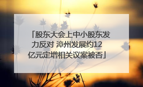 股东大会上中小股东发力反对 漳州发展约12亿元定增相关议案被否