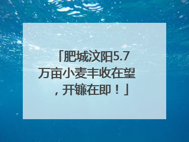 肥城汶阳5.7万亩小麦丰收在望，开镰在即！