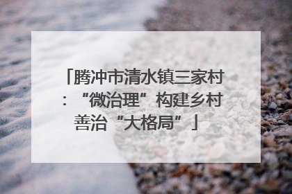 腾冲市清水镇三家村：“微治理”构建乡村善治“大格局”
