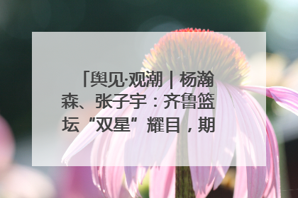 舆见·观潮｜杨瀚森、张子宇：齐鲁篮坛“双星”耀目，期许与挑战并存