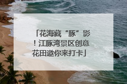 花海藏“豚”影！江豚湾景区创意花田邀你来打卡