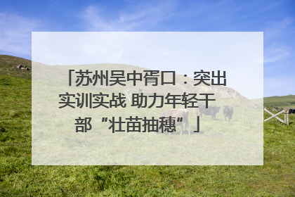 苏州吴中胥口：突出实训实战 助力年轻干部“壮苗抽穗”