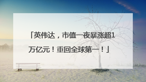 英伟达，市值一夜暴涨超1万亿元！重回全球第一！