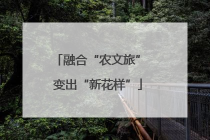 融合“农文旅” 变出“新花样”