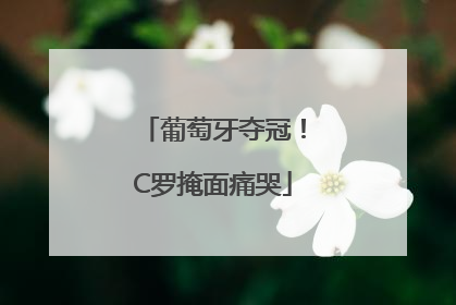 葡萄牙夺冠！C罗掩面痛哭