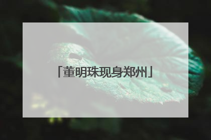 董明珠现身郑州