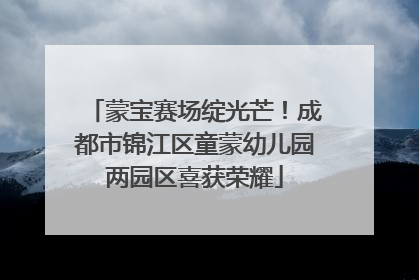蒙宝赛场绽光芒！成都市锦江区童蒙幼儿园两园区喜获荣耀