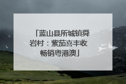 蓝山县所城镇舜岩村：紫茄喜丰收 畅销粤港澳