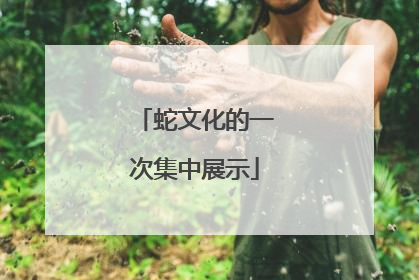 蛇文化的一次集中展示