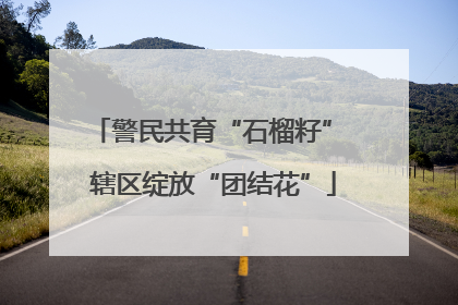 警民共育“石榴籽” 辖区绽放“团结花”