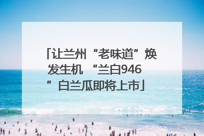 让兰州“老味道”焕发生机 “兰白946”白兰瓜即将上市
