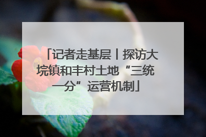 记者走基层丨探访大垸镇和丰村土地“三统一分”运营机制