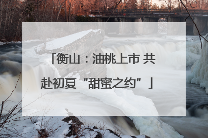 衡山：油桃上市 共赴初夏“甜蜜之约”