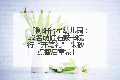 衡阳智星幼儿园：52名萌娃石鼓书院行“开笔礼” 朱砂点智启童蒙