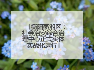 衡阳蒸湘区：社会治安综合治理中心正式实体实战化运行