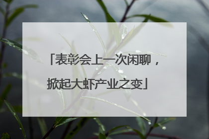 表彰会上一次闲聊，掀起大虾产业之变
