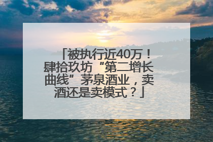 被执行近40万！肆拾玖坊“第二增长曲线”茅泉酒业，卖酒还是卖模式？