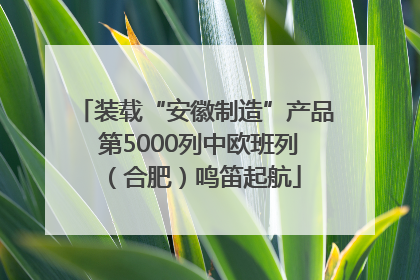 装载“安徽制造”产品 第5000列中欧班列（合肥）鸣笛起航