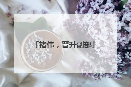 褚伟，晋升副部