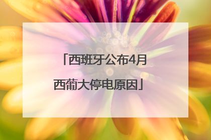 西班牙公布4月西葡大停电原因