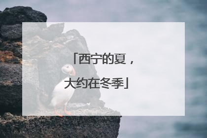西宁的夏，大约在冬季
