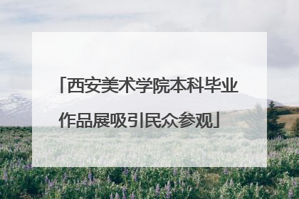 西安美术学院本科毕业作品展吸引民众参观